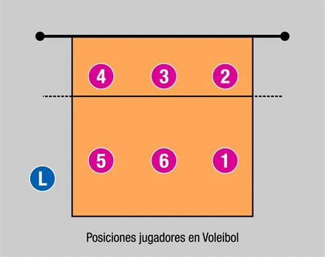 posiciones del voleibol